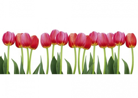 Keittiön välitila Bed of Tulips 350x60 cm