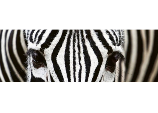 Keittiön välitila Zebra 180x60 cm