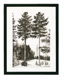 Taulu Metsäpalsta