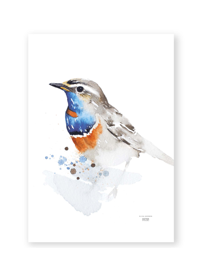 Juliste sinirinta 50x70 cm