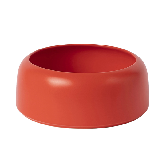 Raawii Omar kulho 01, strong coral