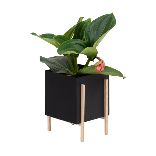 Design House Stockholm Botanic ruukku