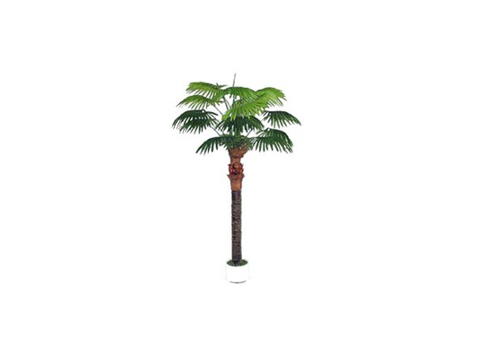 Palmu 210 cm