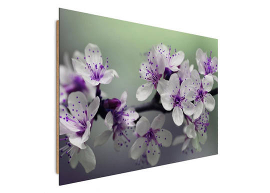Taulu Flowering trees 40x50 cm