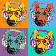 Canvas-taulu | Akustiikkataulu Funky dog 2697