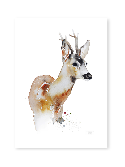 Juliste metsäkauris 50x70 cm