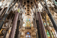 Canvas-taulu | Akustiikkataulu Sagrada Familia Barcelona 1047