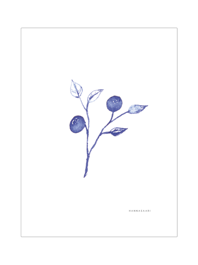 Mustikka juliste 30x40