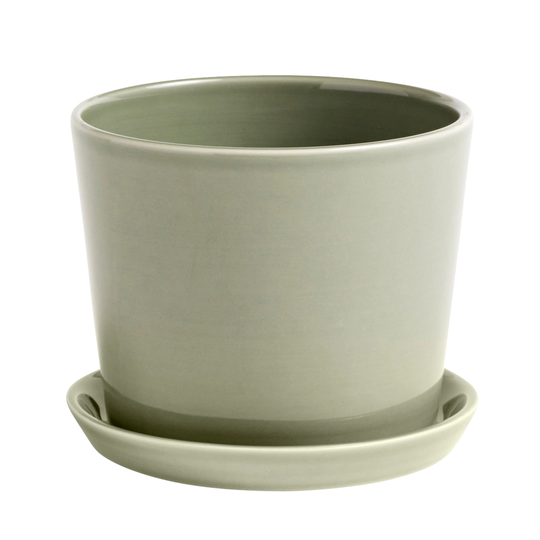 HAY Botanical Family ruukku ja lautanen, M, dusty green