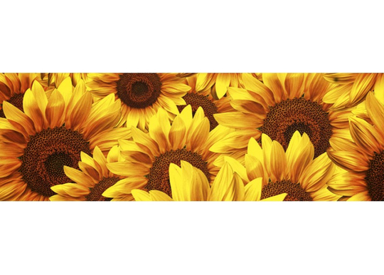 Keittiön välitila Helianthus 180x60 cm
