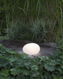 Aurinkokennokoriste Globy Kivi