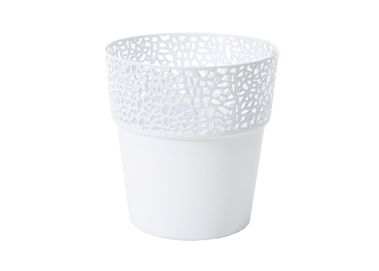 Kukkaruukku Rosa, 2 kpl