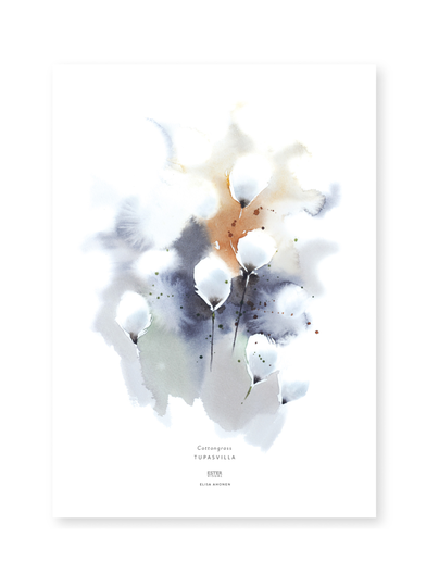Juliste tupasvilla 50x70 cm