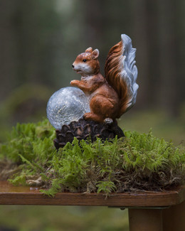 Aurinkokennokoriste Orava
