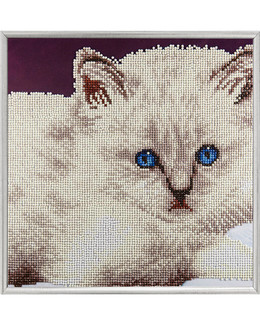 Diamond Painting Katt