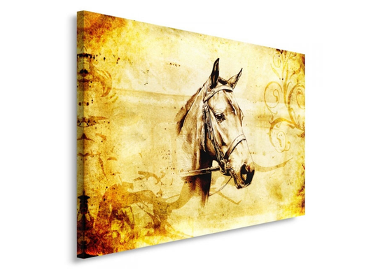 Taulu Horse head 40x50 cm