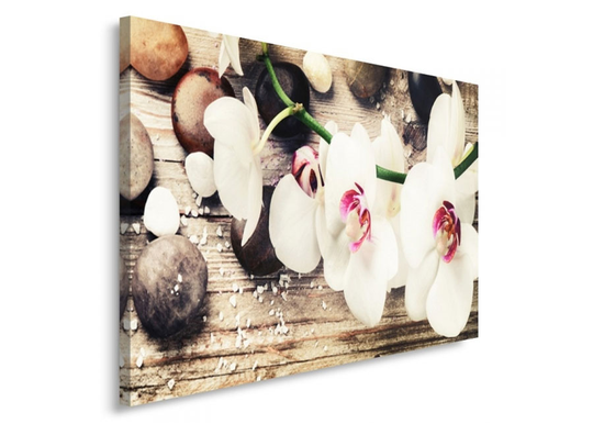 Taulu Orchid 80x120 cm