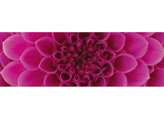 Keittiön välitila Pink dahlia 350x60 cm