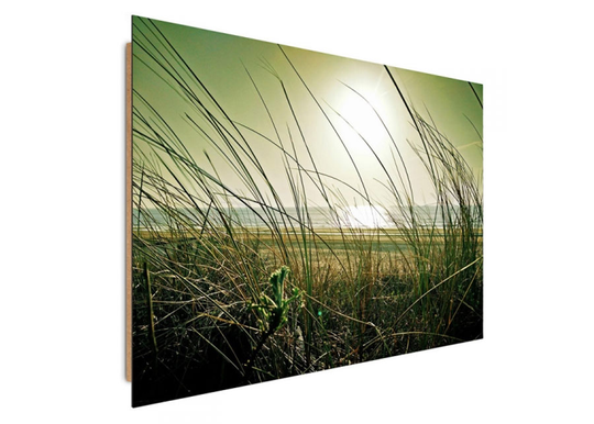 Taulu Coastal grass 30x40 cm