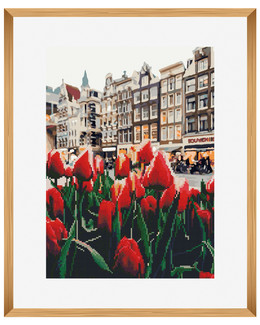 Diamond painting/ Paint by numbers Tulppaaneja Amsterdamissa