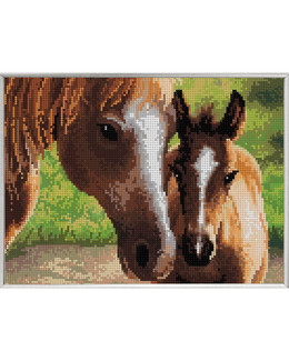 Diamond Painting Hevoset