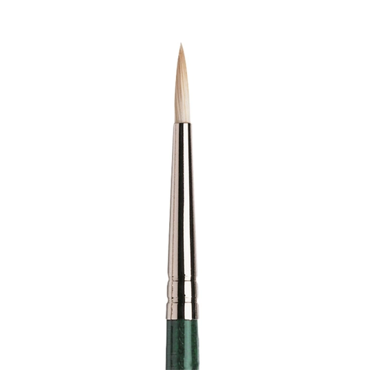 Winsor & Newton Winton Sianharjas Sivellin Koko 2
