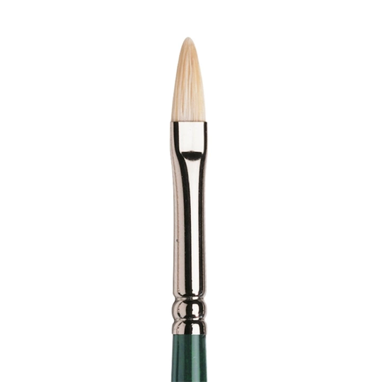 Winsor & Newton Winton Sianharjas Sivellin Filbert Koko 2