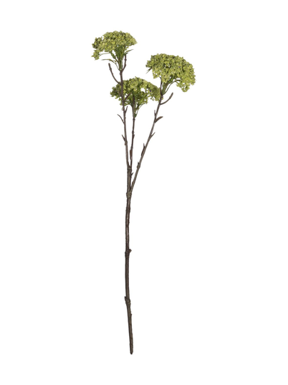 Berry-koristekukka