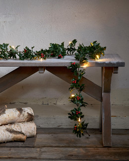 Star Trading Köynnös LED Holly