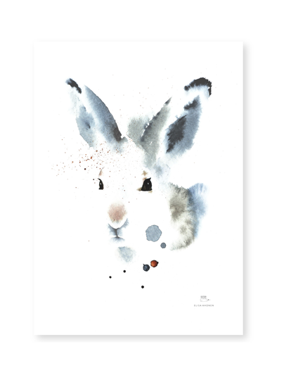 Juliste metsäjänis 50x70 cm
