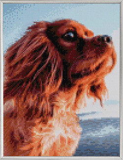 Diamond Painting Koira