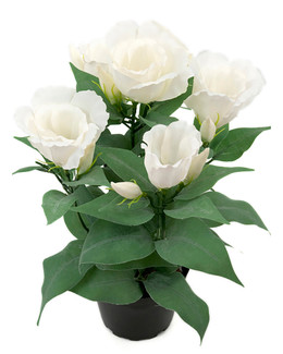 Tekokasvi Preeriaeustoma
