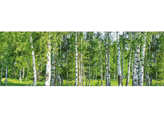Keittiön välitila Birch Grow 180x60 cm