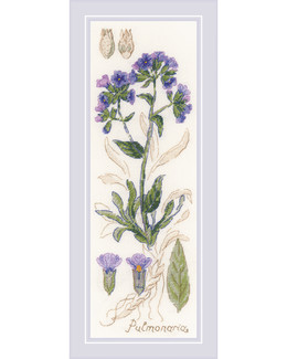 Taulu Pulmonaria