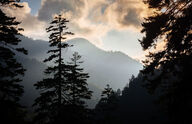 Canvas-taulu | Akustiikkataulu Great Smoky Mountains Tennessee 2130