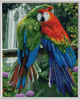 Diamond Painting Papukaija