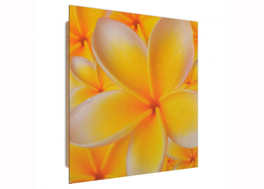 TauluFrangipani flower 3D 30x30 cm