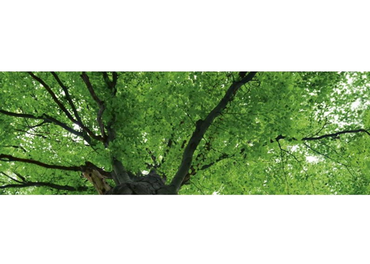 Keittiön välitila Treetop 350x60 cm