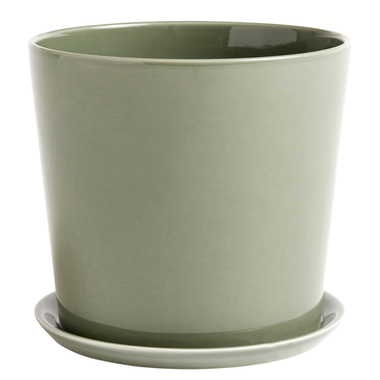HAY Botanical Family ruukku ja lautanen, XL, dusty green