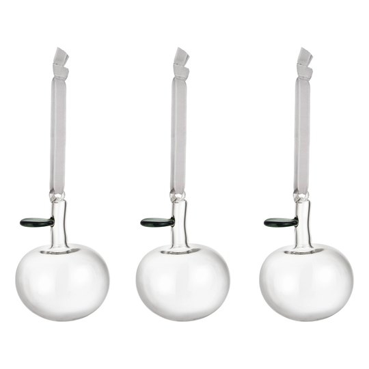 Iittala Lasiomena 3 kpl, kirkas