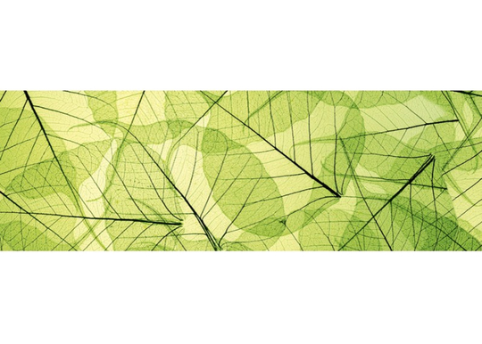 Keittiön välitila Leaf veins 350x60 cm