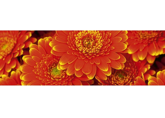 Keittiön välitila Gerbera 180x60 cm