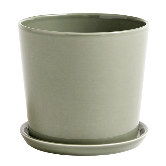 HAY Botanical Family ruukku ja lautanen, L, dusty green