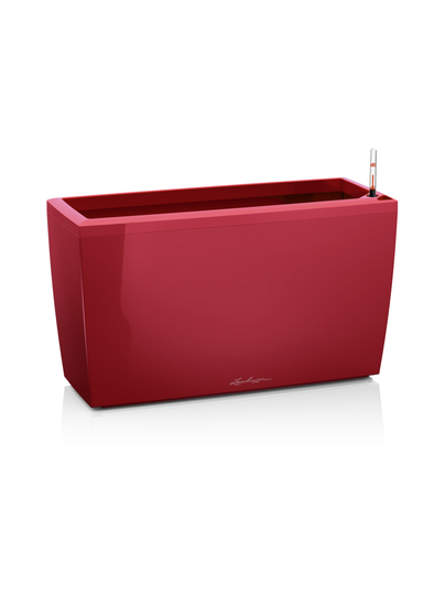 Cararo premium punainen altakasteluruukku rullilla 75x30cm, korkeus 43cm