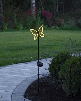 Aurinkokennokoriste Butterfly