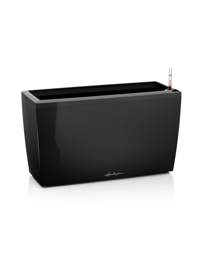 Cararo premium musta altakasteluruukku rullilla 75x30cm, korkeus 43cm