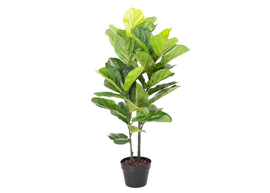 TekopuuFiddle leaf 190 cm