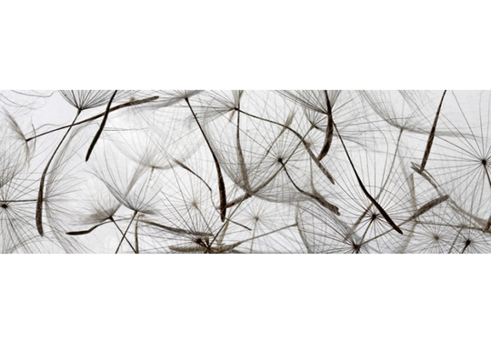 Keittiön välitila Dandelion Seeds 180x60 cm
