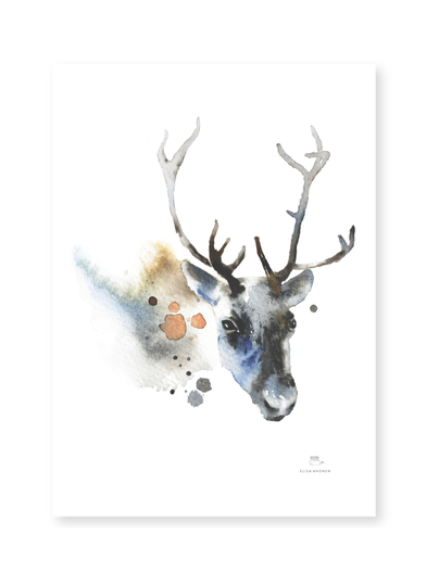 Juliste poro 50x70 cm
