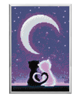 Diamond Painting Kuu